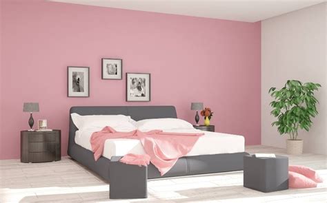 Pink Colour Combination For Bedroom Walls Beautiful Homes