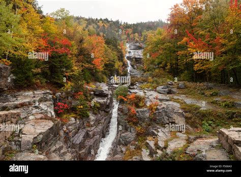 Silver Cascade Falls In Autumn A Waterfall In Crawford Notch State
