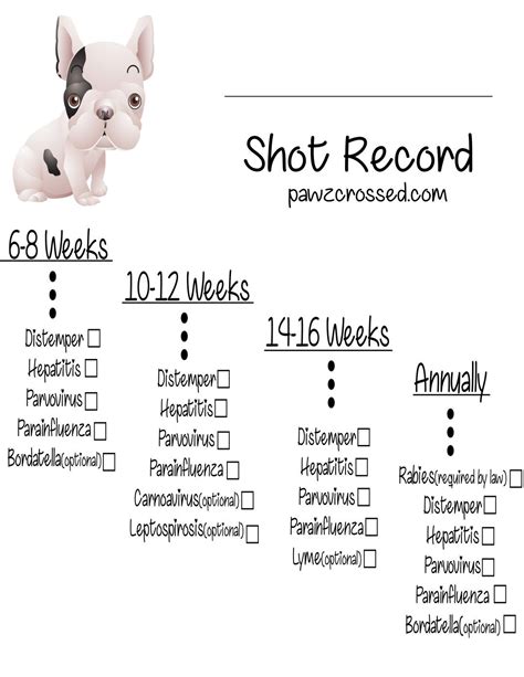 Puppy Shot Schedule Printable