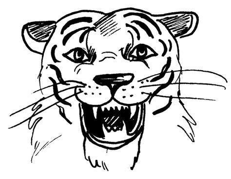 72 dessins de coloriage tigre à imprimer sur LaGuerche.com  Page 6