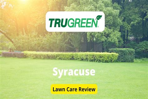 Trugreen Lawn Care In Syracuse Review Lawnstarter