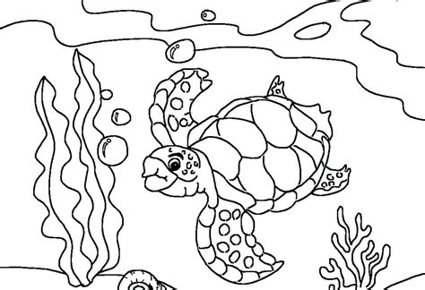 Marine animals are ones that are found in the ocean and we have some exciting ones, like harbor seal coloring pages, vampire crab coloring pages and even a colossal squid coloring page. Sea Turtle Coloring Pages For Adults at GetColorings.com ...