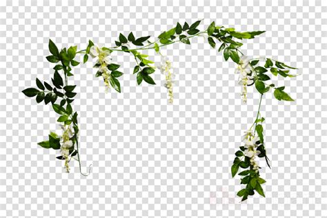 Greenery Border Png Clipart Greenery Garland Clipart Etsy Images And