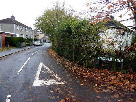 Fallen Leaves Woodvale Avenue Omagh © Kenneth Allen Cc By Sa20