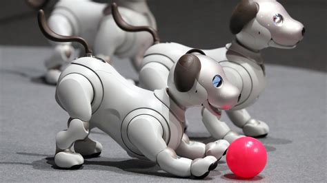Sony Re Introduces Robotic Dogs Architectural Digest
