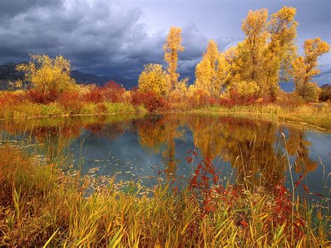 Untitled Wyoming Autumn Jackson Hole Peggys Pond Hd Wallpaper Peakpx