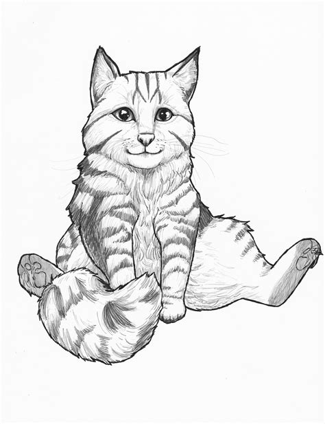 Apply beautiful textures, filters and stickers to images. Custom Art Cat Coloring Page, Cat Coloring Book, Coloring ...