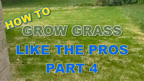 How To Make Lawn Grow Faster