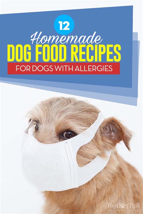 Lamb is one of the best out there. 12 Homemade Dog Food for Allergies Recipes