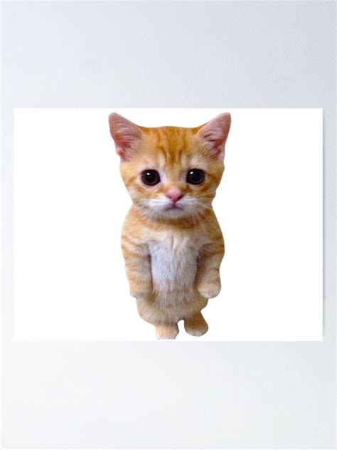 Sad El Gato Munchkin Cat Kitten Meme Poster For Sale By