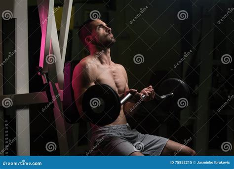 Man In The Gym Exercising Biceps With Barbell Stock Image Image Of