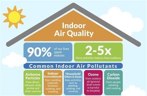 How Can I Purify Air In My Home Naturally Jyoti Arora Improve