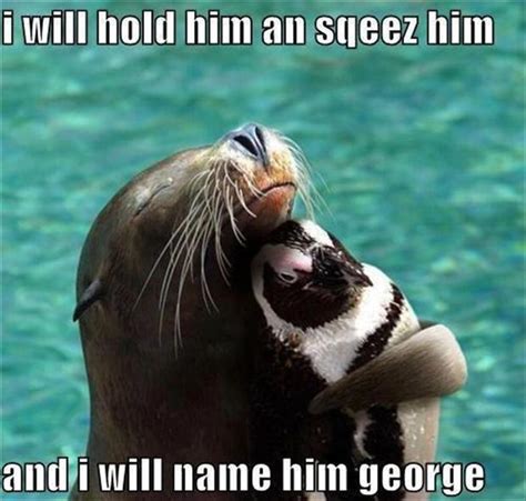 Funny Animal Pictures 60 Pics