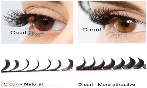 D Curl Vs C Curl Eyelash Get The Main Difference In 2023