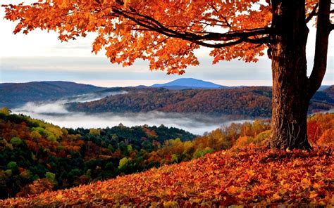 Amazing Places To Visit In Autumn Best Travel Tips