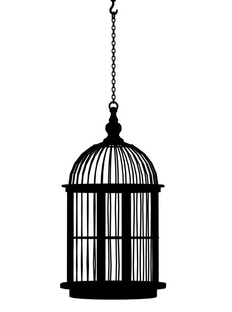 Bird Cage Free Stock Photo Public Domain Pictures