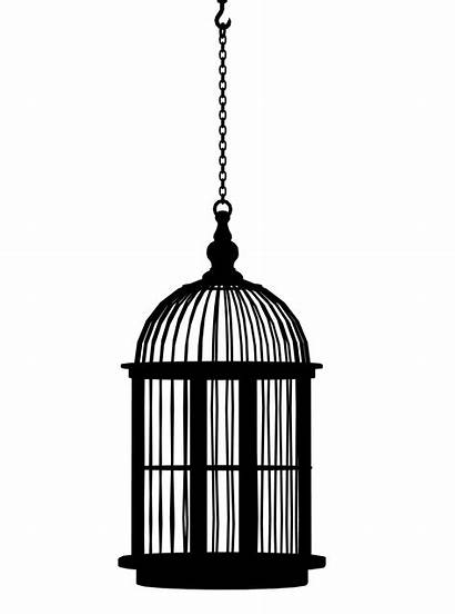 Cage Bird Silhouette