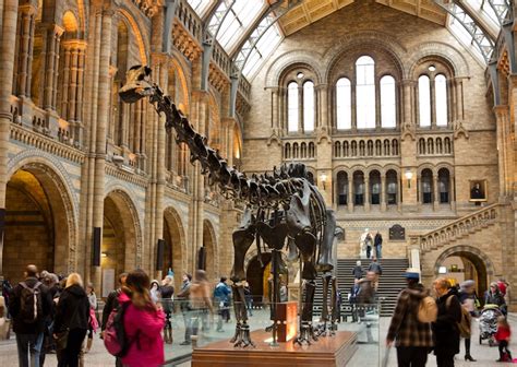 12 Best Museums In London Photos Touropia
