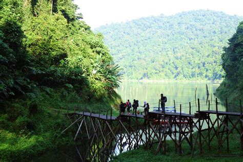 Check spelling or type a new query. Belum Forest Reserve - GoWhere Malaysia