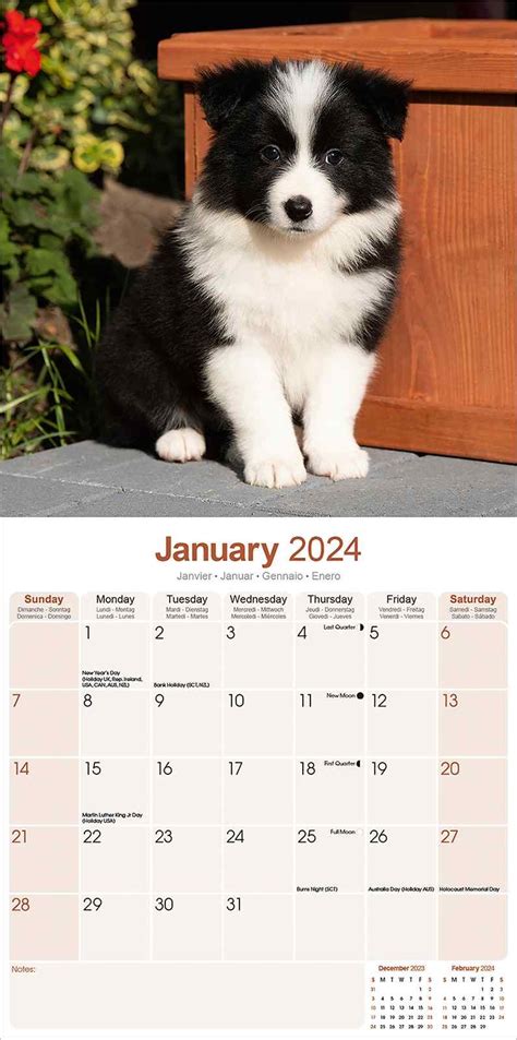 Border Collie Puppies Calendar Dog Breed Pet Prints Inc