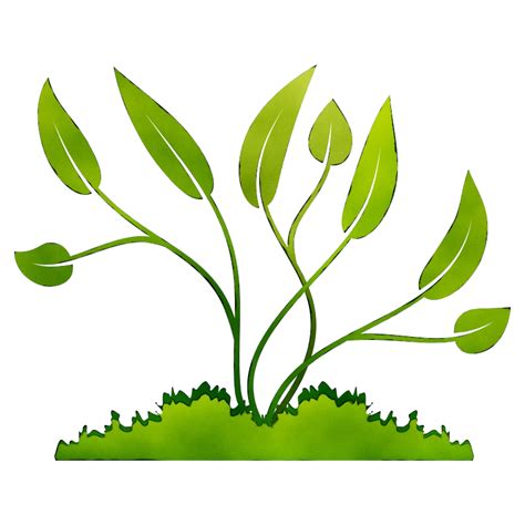 Plants Png Transparent Picture Png Svg Clip Art For Web Download Images