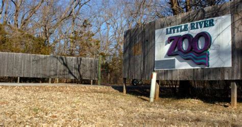 Little River Zoo ‘broke Closes Indefinitely Local News