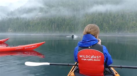 Kayak British Columbia Home To Killer Whales And Bears
