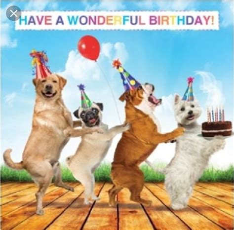 Pin By Judy Quinn On Birthday Greetings Happy Birthday Dog Meme