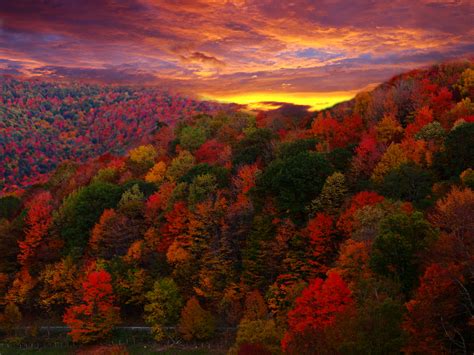 Sunset Mountains Trees Autumn Wallpapers Hd Desktop