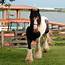» The Gypsy Vanner Breed
