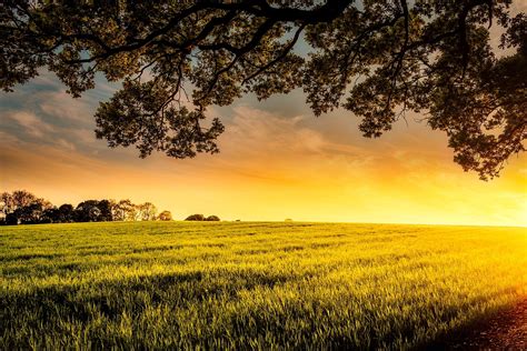 Sunset Dusk Meadow Free Photo On Pixabay