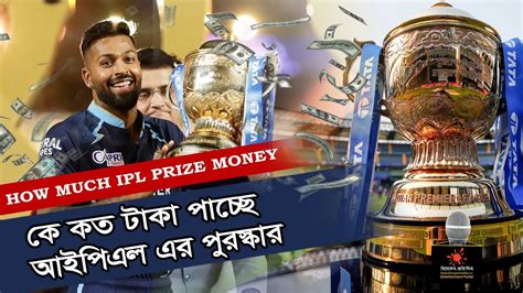 Ipl Prize Money Binodon Sports