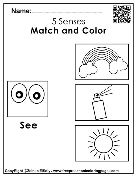 Sense Of Sight Worksheet Kindergarten