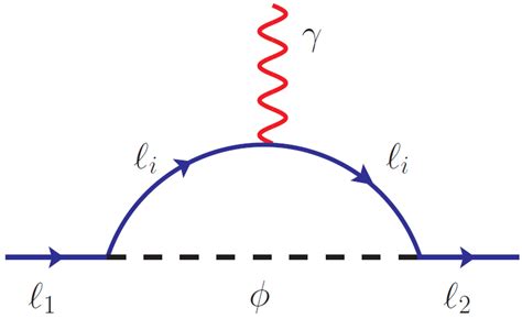Feynman Diagrams Inducing Radiative Decays Of Charged Leptons φ