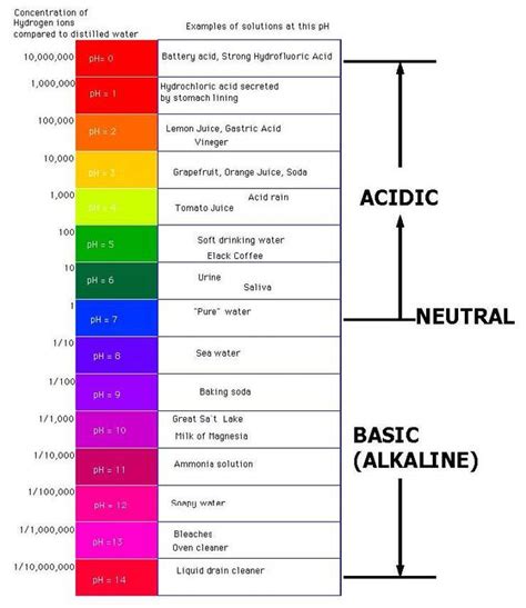 Ph Scale Kaiserscience