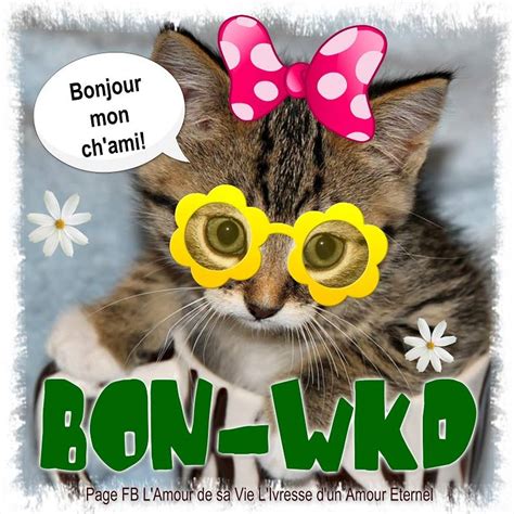 We did not find results for: image drole bon week end