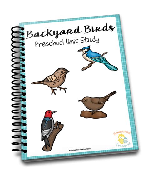 If You Give a Mouse a Cookie Preschool Printable | Preschool, Bird unit study, Preschool activities