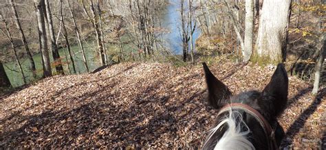 About Mammoth Cave Horse Camp 60 Miles Of Horse Trails