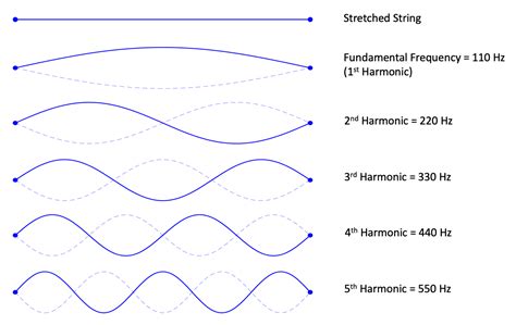 An Ultimate Guide To Musical Frequencies Understand Them Like A Pro