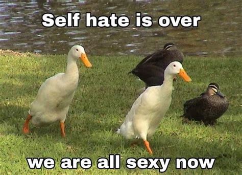 reactions on twitter ducks walking self hate is over we are all sexy now