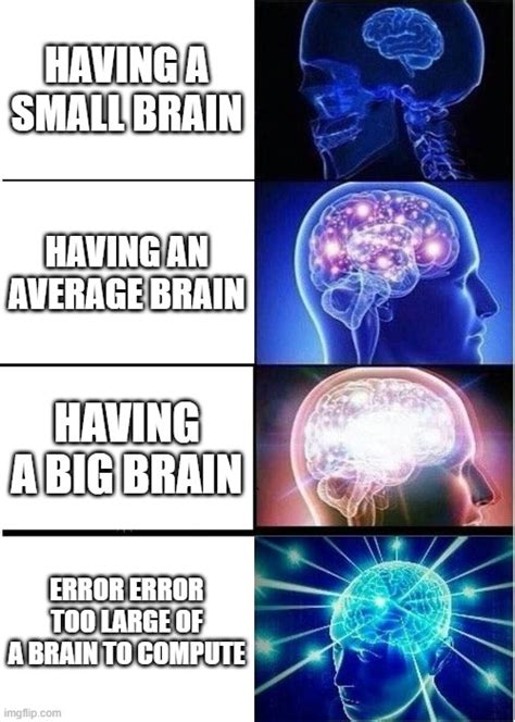 Brain Sizes Imgflip
