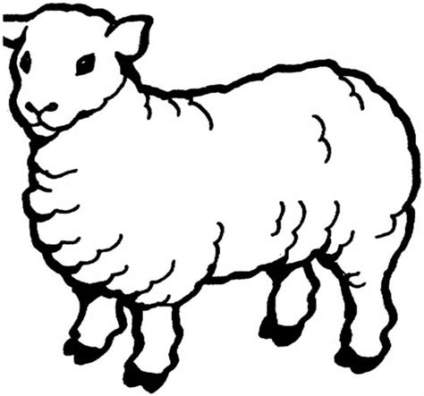 Sheep Coloring Page For Kids : Coloring Sky