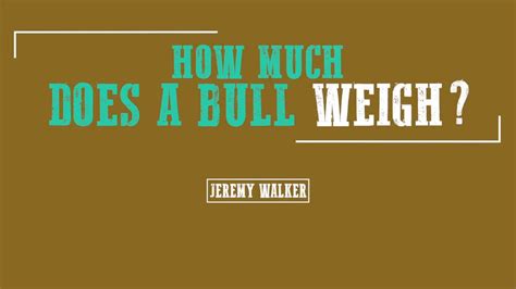 How much does she weigh? Jeremy Walker: How Much Does A Bull Weigh? - YouTube