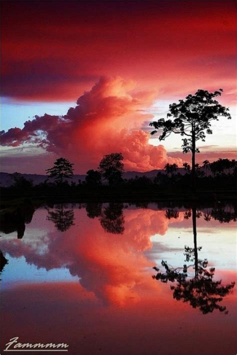 Surreal And Majestic Photos In Mirrored Nature