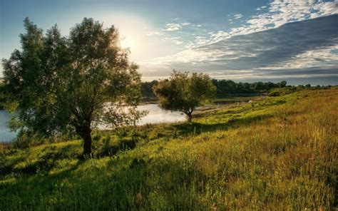 Wallpaper Sunlight Trees Landscape Forest Hill Lake Nature