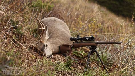 How To Choose The Best Survival Rifle For Hunting Or Defense Gun