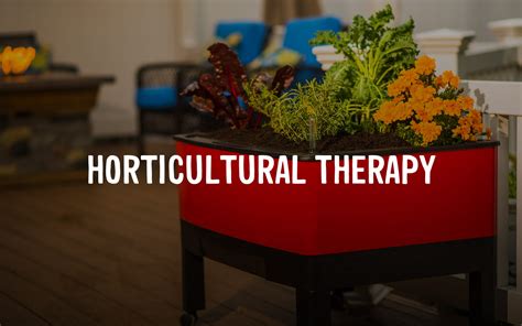 Horticultural Therapy
