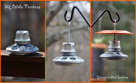 Maybe you would like to learn more about one of these? the garden-roof coop: DIY Oriole Feeder