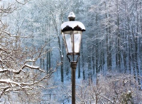 Lamp Post Winter Scenes Beautiful Art Winter Wonder