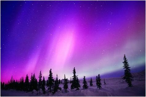 My Theme Was Aurora Borealis The Northern Lights Auroras Boreales